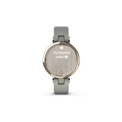 Смарт-годинник Garmin Lily, Cream Gold, Grey, (010-02384-B2)