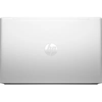 Ноутбук HP ProBook 455 G10 (719F8AV_V2)
