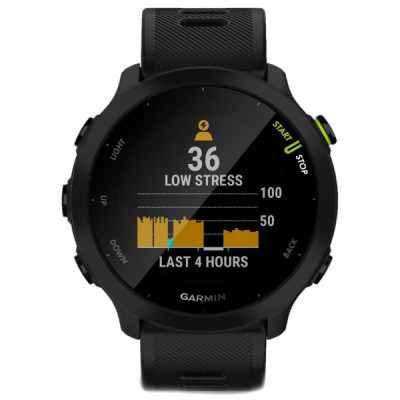 Смарт-годинник Garmin Forerunner 55, Black (010-02562-10)