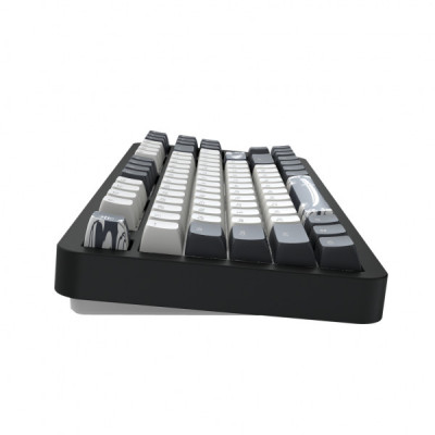 Клавіатура Dark Project ALU87 Bushido ABS RGB Mech G3MS Moonstone Black/White (DPKB_BUSHIDO_87_ANSI_UA)