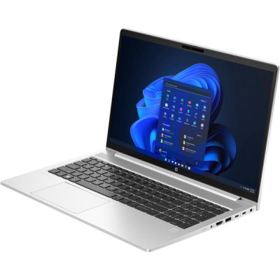 Ноутбук HP ProBook 450 G10 (71H61AV_V2)