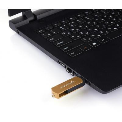 USB флеш накопичувач eXceleram 32GB P2 Series Brown/Black USB 3.1 Gen 1 (EXP2U3BRB32)