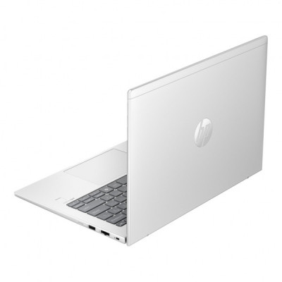 Ноутбук HP ProBook 445 G11 (8Z9P4AV_V1)