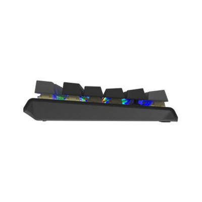 Клавіатура A4Tech FS100 RGB FS Switch USB Stone Black (4711422003925)