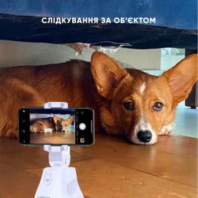 Набір блогера AirOn 360 ° AirFace for TikTok, Instagram, Facebook, Zoom, white (6126755803218)