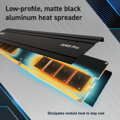 Модуль пам'яті для комп'ютера DDR5 48GB (2x24GB) 5600 MHz Micron (CP2K24G56C46U5) Модуль пам'яті для комп'ютера DDR5 48GB (2x24GB) 5600 MHz Micron (CP2K24G56C46U5)