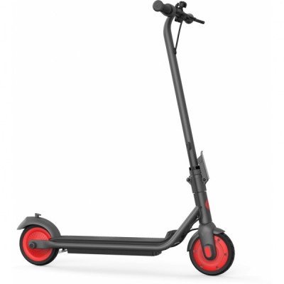 Електросамокат Segway Ninebot C20, Black (AA.00.0011.54)