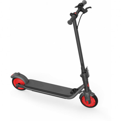 Електросамокат Segway Ninebot C20, Black (AA.00.0011.54)