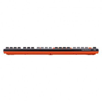 Клавіатура Varmilo Lure VBM108 Bot Lie EC V2 Daisy USB UA Black (A01A003A8A4A01A005)