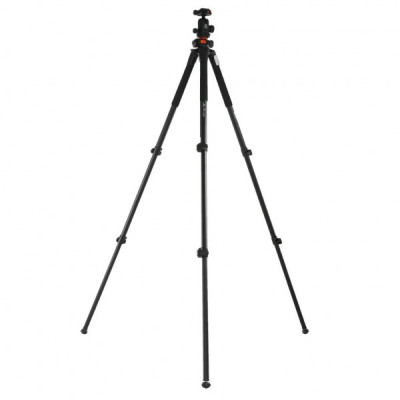 Штатив Vanguard Alta Pro 263AB 100 (DAS301277)