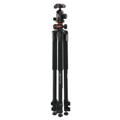Штатив Vanguard Alta Pro 263AB 100 (DAS301277)