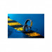 Vapehub-Image