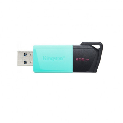 USB флеш накопичувач Kingston 256GB DataTraveler Exodia M USB 3.2 (DTXM/256GB)