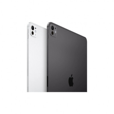 Планшет Apple iPad Pro 11" M4 WiFi 256GB with Standard glass Silver (MVV93NF/A)