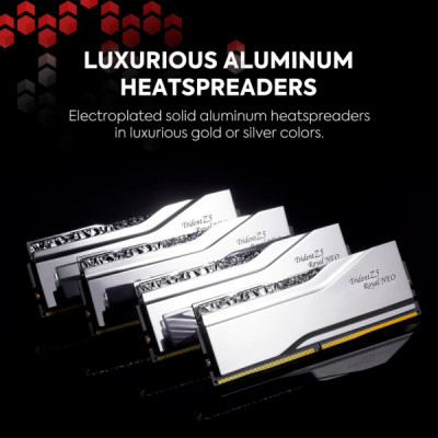 Модуль пам'яті для комп'ютера DDR5 96GB (2x48GB) 6000 MHz Trident Z5 Royal Neo Silver G.Skill (F5-6000J3036F48GX2-TR5NS)