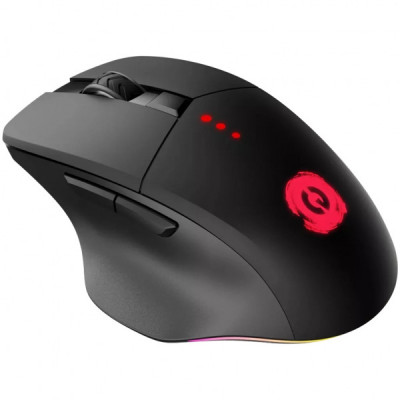 Мишка Canyon Crusader GMW-13 RGB Wireless Black (CND-SGMW13)