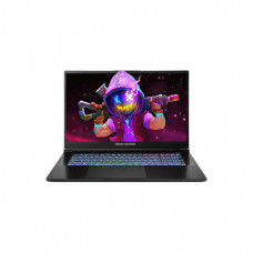 Ноутбук Dream Machines RG5070-17 (RG5070-17UA25)