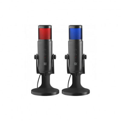 Мікрофон Defender Galactar GMC 250 USB Black (64625)