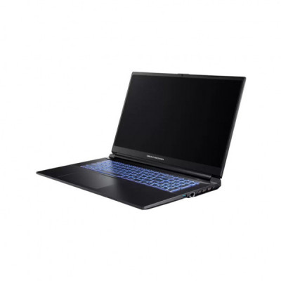 Ноутбук Dream Machines RG3050-17 (RG3050-17UA55)