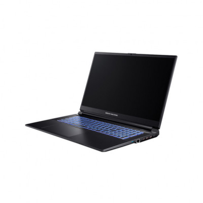 Ноутбук Dream Machines RG3050-17 (RG3050-17UA35)