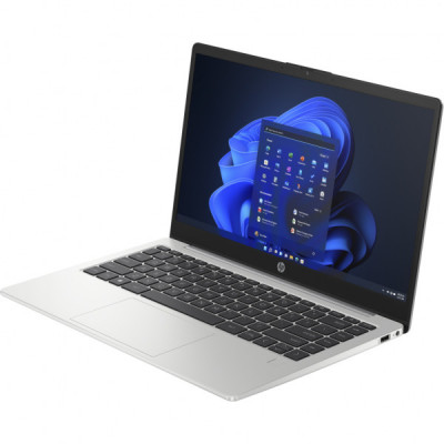 Ноутбук HP 245 G10 (A3DU5ES)