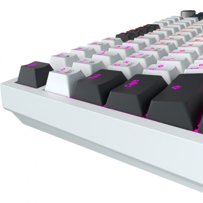 Клавіатура GamePro Asgard Valhalla Pro QLAB Sakura Switch RGB Bluetooth/Wireless/USB-C UA White (MK160-W-D-QS-PRO) Клавіатура GamePro Asgard Valhalla Pro QLAB Sakura Switch RGB Bluetooth/Wireless/USB-C UA White (MK160-W-D-QS-PRO)