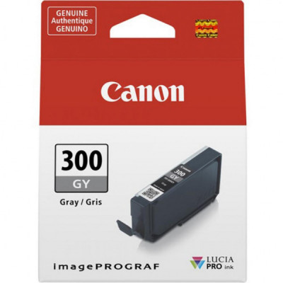 Картридж Canon PFI-300 Grey (4200C001)