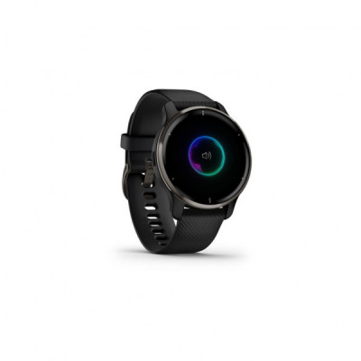 Смарт-годинник Garmin Venu 2 Plus, Black + Slate, GPS (010-02496-11)