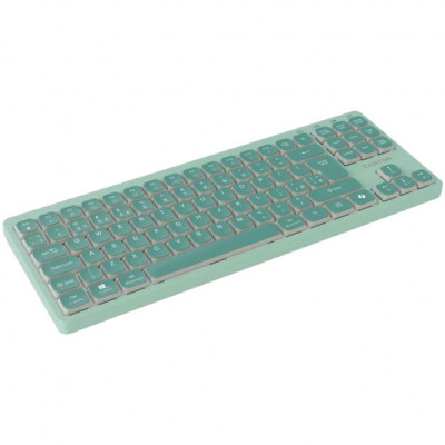 Клавіатура Canyon OnType 10 TKL Mechanical Silent Low-profile USB UA Green (CNS-HKB10GR)