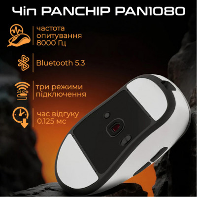 Мишка RAWM ER21 Wireless/Bluetooth Black (ER21.black)