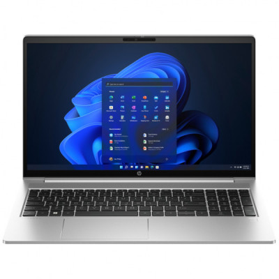 Ноутбук HP ProBook 455 G10 (719G1AV_V3)