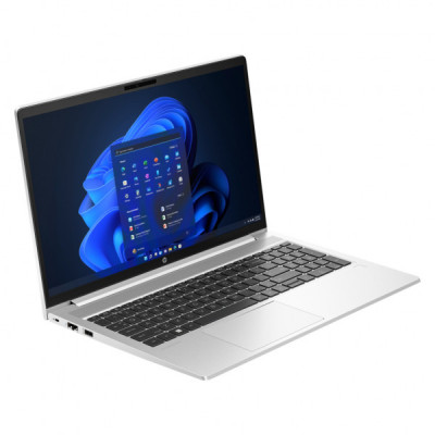 Ноутбук HP ProBook 455 G10 (719G1AV_V3)
