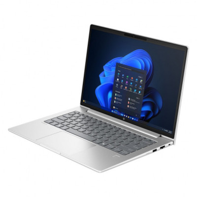 Ноутбук HP ProBook 4 G1a (D4VG1ET)