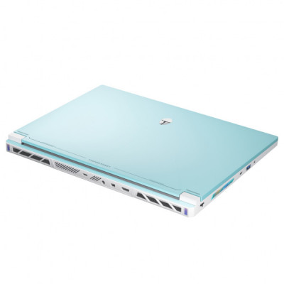 Ноутбук Thunderobot RS16 (RS16-I9139HX56E1Q240ARC)