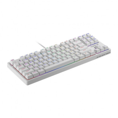 Клавіатура Hator Rockfall EVO TKL Kailh Optical White (HTK-631)