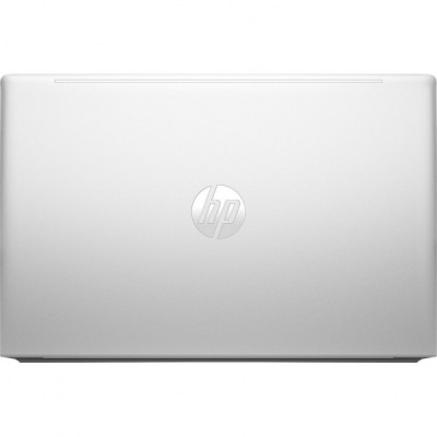 Ноутбук HP ProBook 455 G10 (719F5AV_V4)