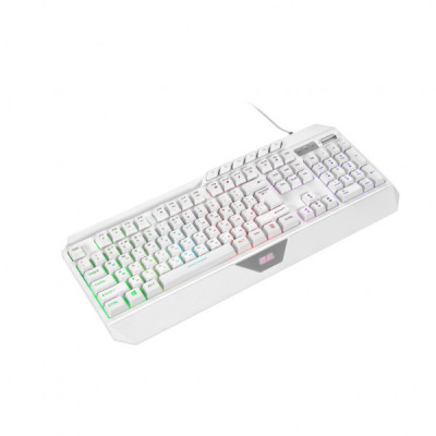 Клавіатура 2E Gaming KG315 RGB USB UA White (2E-KG315UWT)