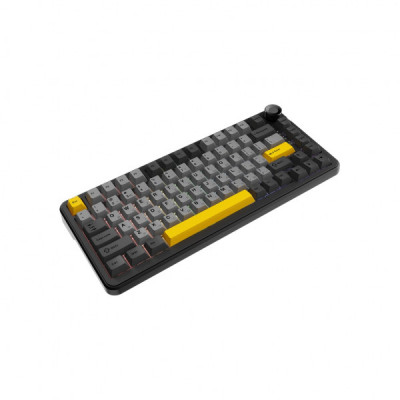 Клавіатура Ajazz AK820 MAX Magnetic Switch RGB USB Black (AK820MAX-WM-BGY) Клавіатура Ajazz AK820 MAX Magnetic Switch RGB USB Black (AK820MAX-WM-BGY)