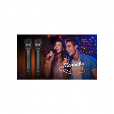 Мікрофон REAL-EL KM-850 Black (EL121900002) Мікрофон REAL-EL KM-850 Black (EL121900002)