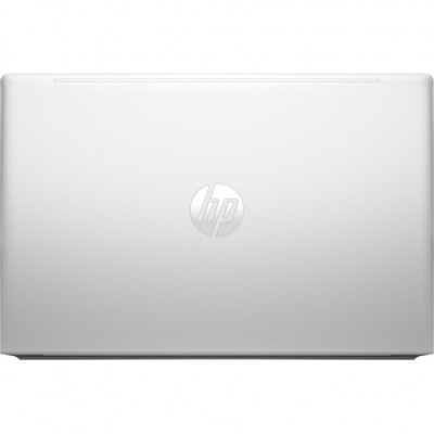 Ноутбук HP ProBook 455 G10 (719G1AV_V1)