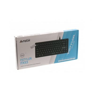 Клавіатура A4Tech FX53 USB UA Black (4711421002394)