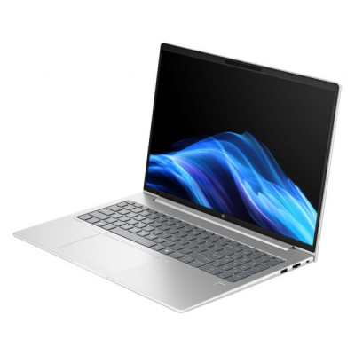 Ноутбук HP ProBook 4 G1a (D4VG3ET)