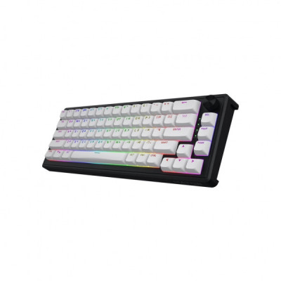 Клавіатура Hator Skyfall 65 MAG ULTRA 8K Aurum Ice RGB USB UA Black/White (HTK1860UA)