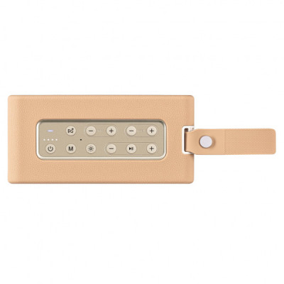 Акустична система 2E SoundLegend PowerBank IPX6 RGB Brown (2E-BSSLWBN)
