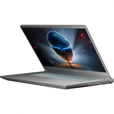 Ноутбук Thunderobot 911 X17 (911X17-i7136H56C1Q165MB)