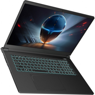 Ноутбук Thunderobot 911 X17 (911X17-i7136H56C1Q165MB)