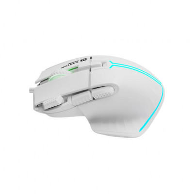 Мишка Canyon Fortnax GM-636 RGB USB White (CND-SGM636W)