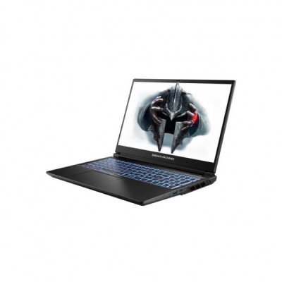 Ноутбук Dream Machines RG5070-15 (RG5070-15UA25)