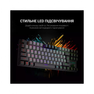 Клавіатура GamePro MK100B Blue Switch LED USB Black (MK100B)